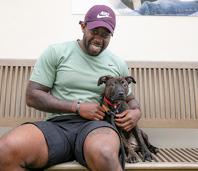 Campus picture with palm trees and the sun setting